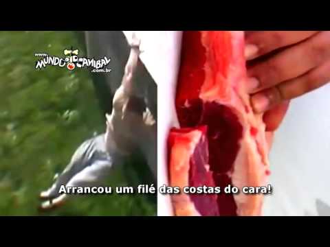 ParTOBA 13   O ÚLTIMO!