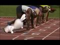 RRR TV Party - Olympic games 2008 - Rabbids can ...