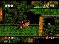 Pitfall The Mayan Adventure Lvl 5