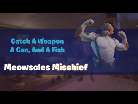 Fortnite | C02S02 | Catch A Weapon, A Can, And A Fish