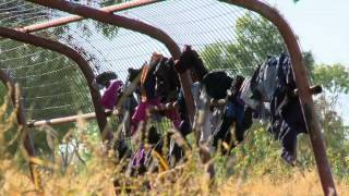 Utopia and the Indigenous people