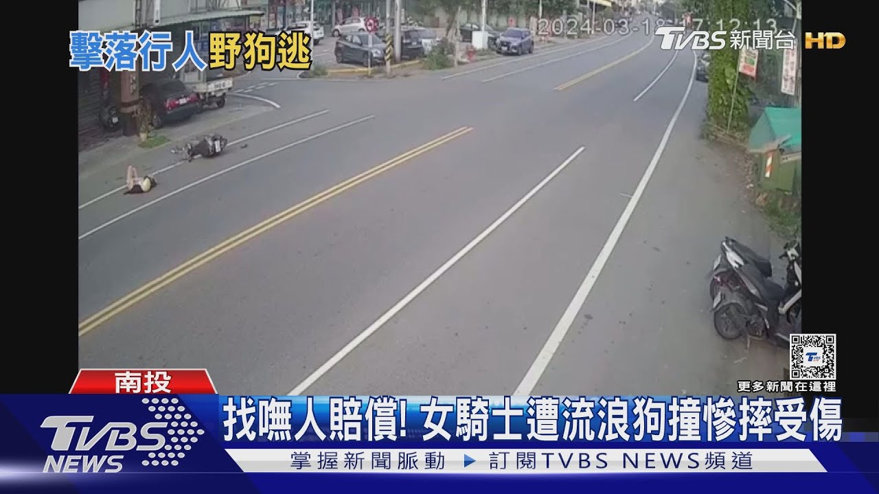 找嘸人賠償! 女騎士遭流浪狗撞慘摔受傷