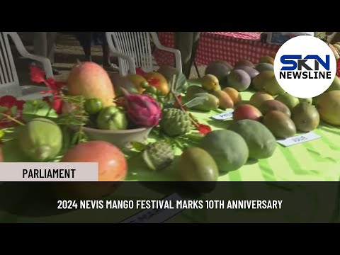 2024 NEVIS MANGO FESTIVAL MARKS 10TH ANNIVERSARY