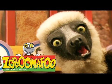 🐒 Zoboomafoo 🐒 114 | Tracks - Full Episode | Kids TV Shows