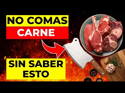 , title : 'BRUTAL: ¡CARNE! Resumen y Evidencia'