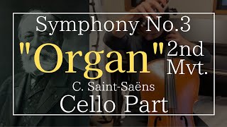 Download lagu 交響曲第3番「オルガン付き」(C. サン=サーンス) 第2部 チェロパート Symphony No.3'Organ'(C. Saint-Saëns) 2nd Mvt. Cello Part mp3