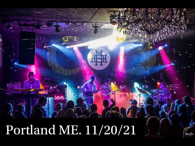 Dark Eyed Junco Video