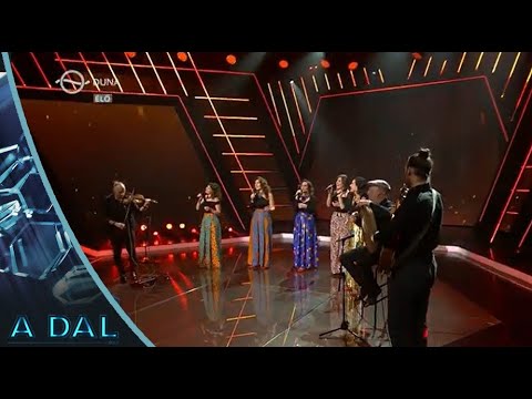 Napfonat - Mint a zápor (A Dal 2022 - 2. elődöntő)