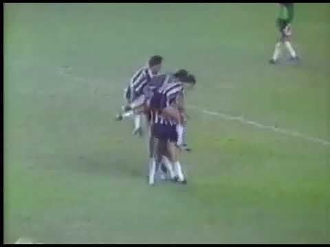 Baltazar Maria (Botafogo) - 18/11/1984 - Botafogo 4x2 Fluminense - 2 gols