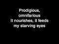 Meshugggah - Pineal Gland Optics Lyrics [HQ]