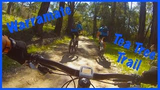 preview picture of video 'GoPro Warramate Pt.1 - Tea Tree MTB'
