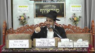 הרב מאיר אליהו | עליית נשמה | מוסאיוף - ה׳תשפ״ו (הרב מאיר אליהו) - התמונה מוצגת ישירות מתוך אתר האינטרנט יוטיוב. זכויות היוצרים בתמונה שייכות ליוצרה. קישור קרדיט למקור התוכן נמצא בתוך דף הסרטון הרב מאיר אליהו | עליית נשמה | מוסאיוף - ה׳תשפ״ו (הרב מאיר אליהו) - התמונה מוצגת ישירות מתוך אתר האינטרנט יוטיוב. זכויות היוצרים בתמונה שייכות ליוצרה. קישור קרדיט למקור התוכן נמצא בתוך דף הסרטון