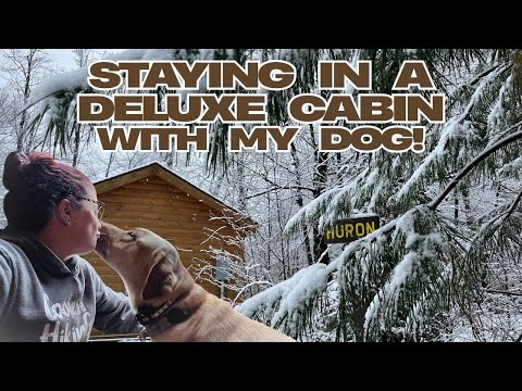 Staying in a Deluxe Cabin with My Dog ~ Ricketts Glen State Park PA