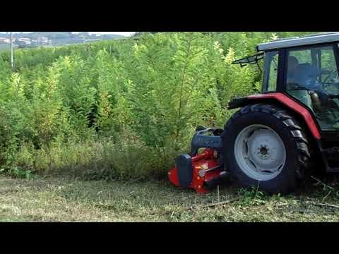 Trinciatrice VG 1 con rotore semiforestale