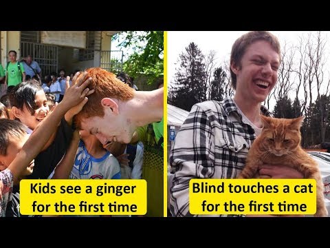 People Who Did Things For The First Time, And Had The Best Reactions Video