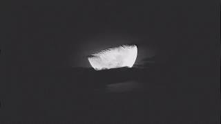 A Caçada Music Video