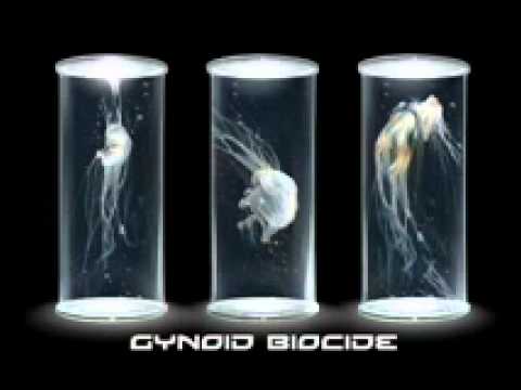 Gynoid Biocide- Subluxation