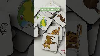 Сортери Монтессорі Чарівна природа