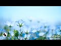 Ninaomba Jina Langu Liwepo Kitabuni Worship Song