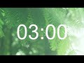 3 Min Timer Music Bird Relax Music With Nature Sounds In The Forest For Work And Study