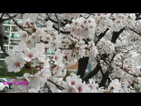 TRANG THƯ KỶ NIỆM