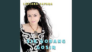Download lagu Sir Gobang Gosir mp3