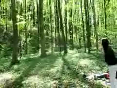 tiroliana Valea Budului