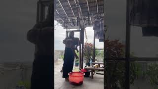 Download lagu Review bolu #subscribe #minivlog #shortvideo #youtubeshorts #vlog #vlogpemula #fyp #shorts #youtube mp3