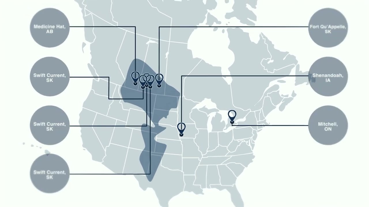S3 Group Ltd. - Directors Cut
