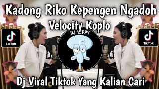 Download lagu KARI CERITO COVER NIKEN MELANI FT VITHAAA FT HAPPY ASMARA VELOCITY KOPLO VIRAL TIKTOK TERBARU π₯π₯π₯ mp3 Download lagu KARI CERITO COVER NIKEN MELANI FT VITHAAA FT HAPPY ASMARA VELOCITY KOPLO VIRAL TIKTOK TERBARU π₯π₯π₯ mp3