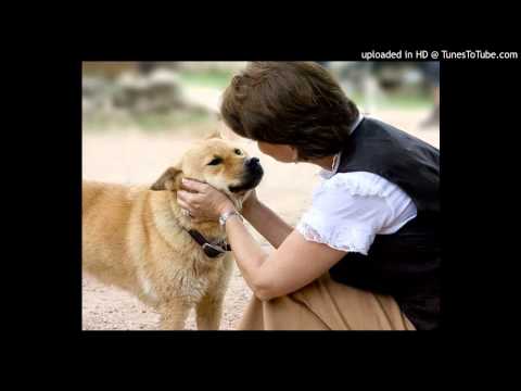 B1_.L06_P119_Reading_A (B1_.L06_P119_Reading_A)