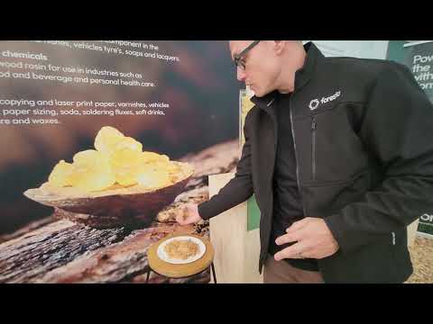 Foresta's Technology