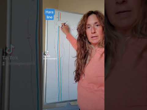 Hara Line and the Dan Tiens