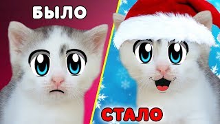 КОШКА МУРКА без НАСТРОЕНИЯ! НАРЯЖАЕМ ЁЛКУ НА НОВЫЙ ГОД! КОТ МАЛЫШ ЧУТЬ НЕ РАЗБИЛ НОВОГОДНИЕ ИГРУШКИ