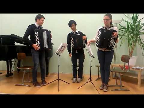 Akkordeon Trio DOMINO - Tanz der Zuckerfee / Peter Cajkowsky