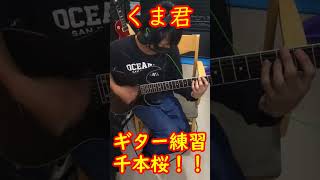 【クマ君ギター練習】千本桜　練習開始③ 26/6/14！ #electricguitar #practice #shorts