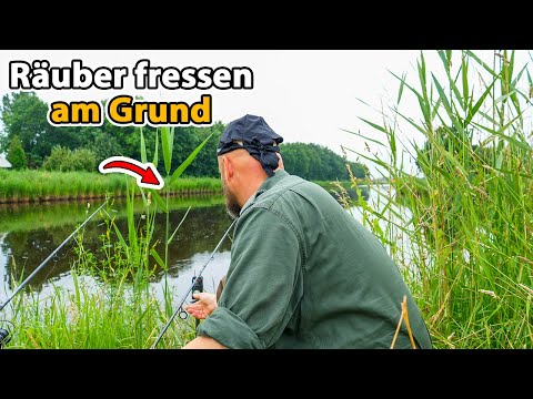 Matze Koch: Basic rig for fishing with bait fish