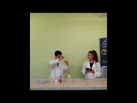 Russell - A. Moro - G. Guarini - Laboratorio di chimica