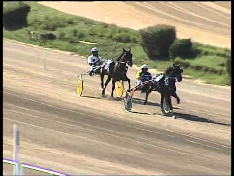 Trotto 09/09/2014 - 1° prova di riqualifica