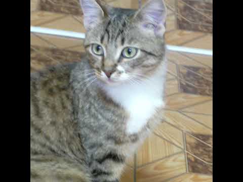 КУ 2   2 лига плей-офф 1-8 Медиа – Fantasy     1-2 тайм