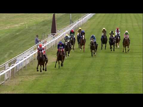 Galopprennbahn Dresden 16.06.2018 - Rennen 6