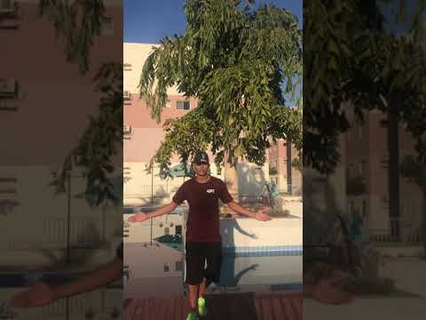 PASSINHO DOS MALOKA - EU SOU O P7 (DANIEL OFICIAL)