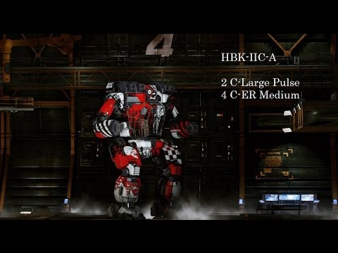 Hunchback HBK-IIC-A "Feed Back"