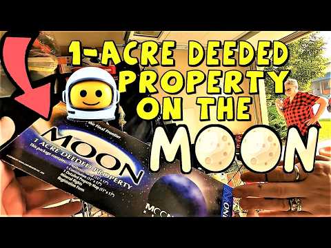 Ep699:  I Bought 1 ACRE of Land On The MOON!  🤯🌒🌓🌕 Vintage Taxidermy Heron & Turquoise Necklace