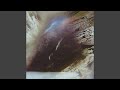 I Wanted to Leave (Sitar Version)