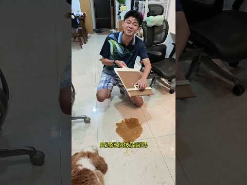 好家夥！原來不是披薩鏟！是剷屎神器！- 披薩產妙用