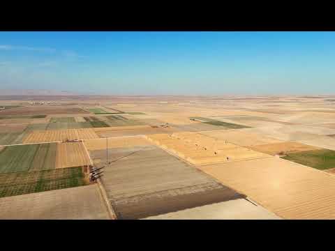 Video 8