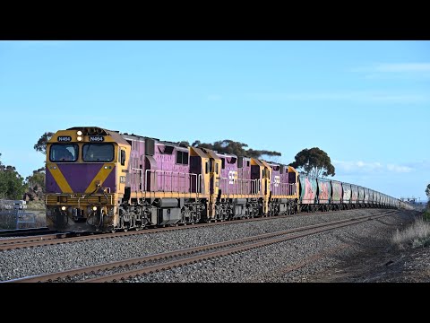 Country Life | Trains at Little River