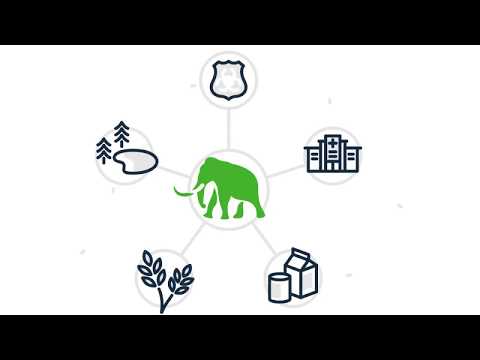 The Mammoth CRISPR Platform
