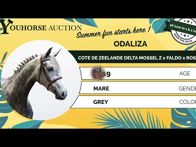 Odaliza showvideo
